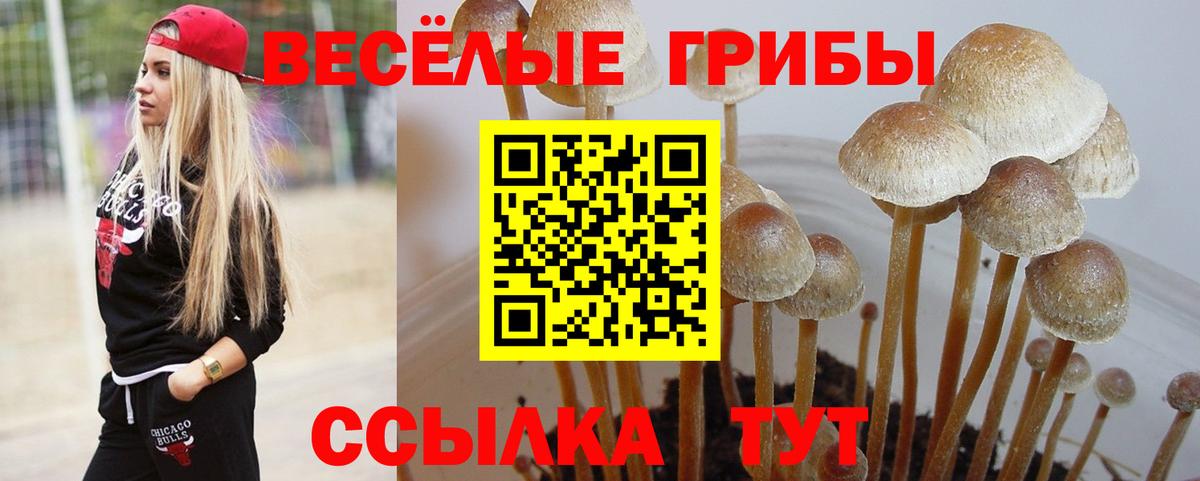 Галлюциногенные грибы Magic Shrooms  Галлюциногенные грибы MAGIC MUSHROOMS  Вход с VPN  Асино 